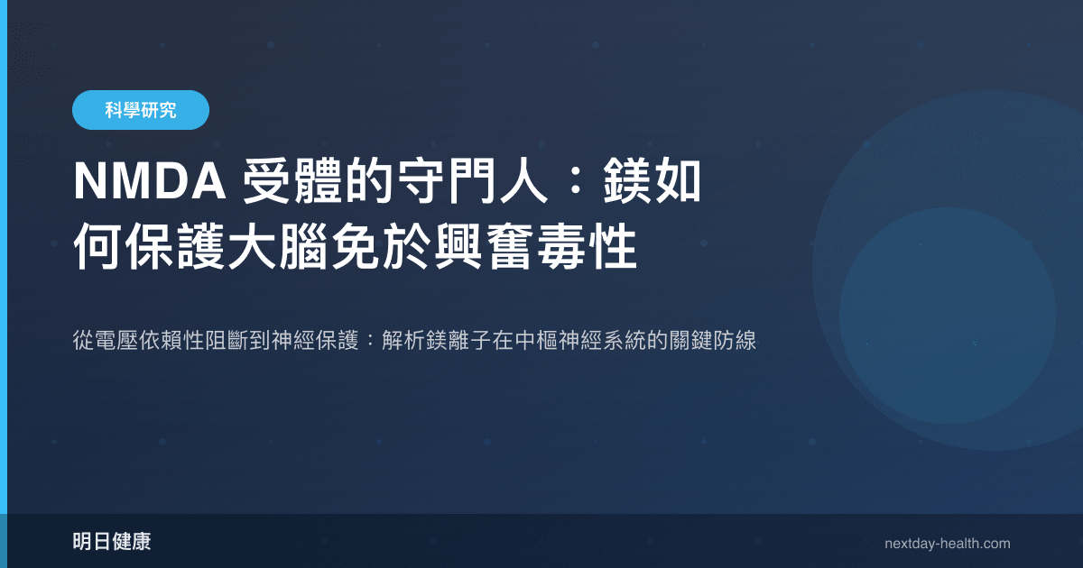 NMDA 受體的守門人：鎂如何保護大腦免於興奮毒性