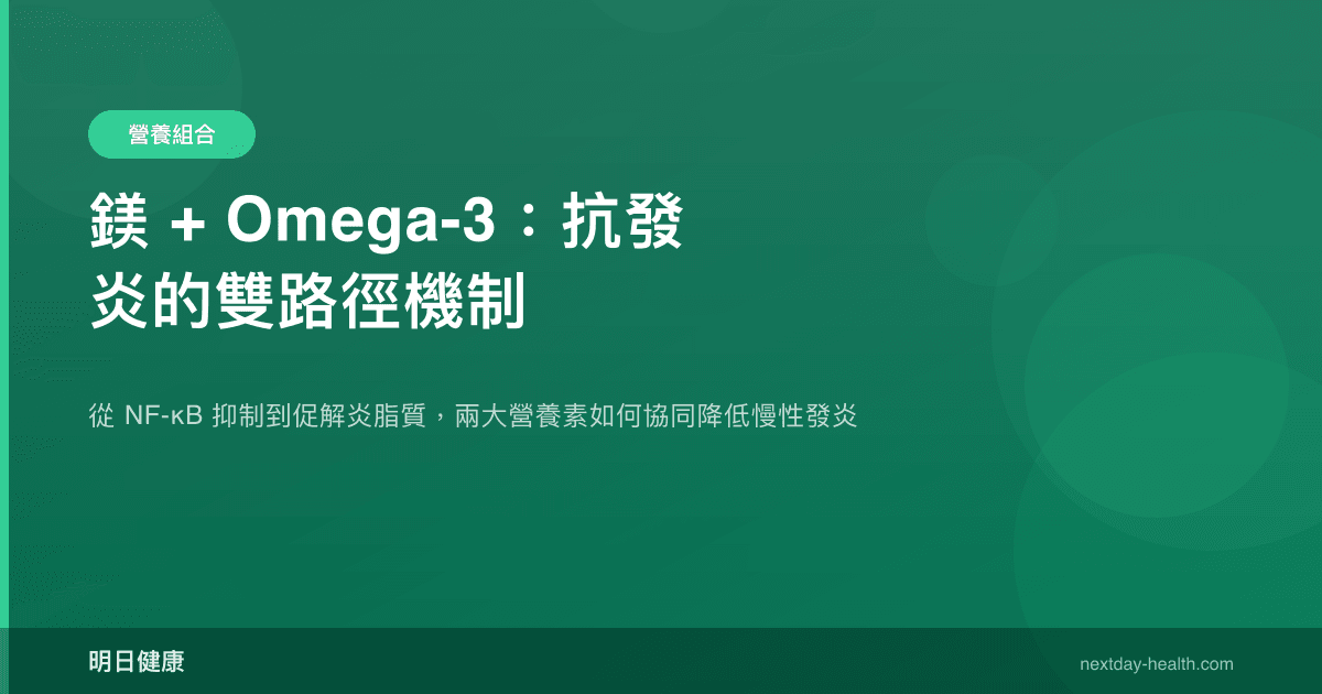 鎂 + Omega-3：抗發炎的雙路徑機制