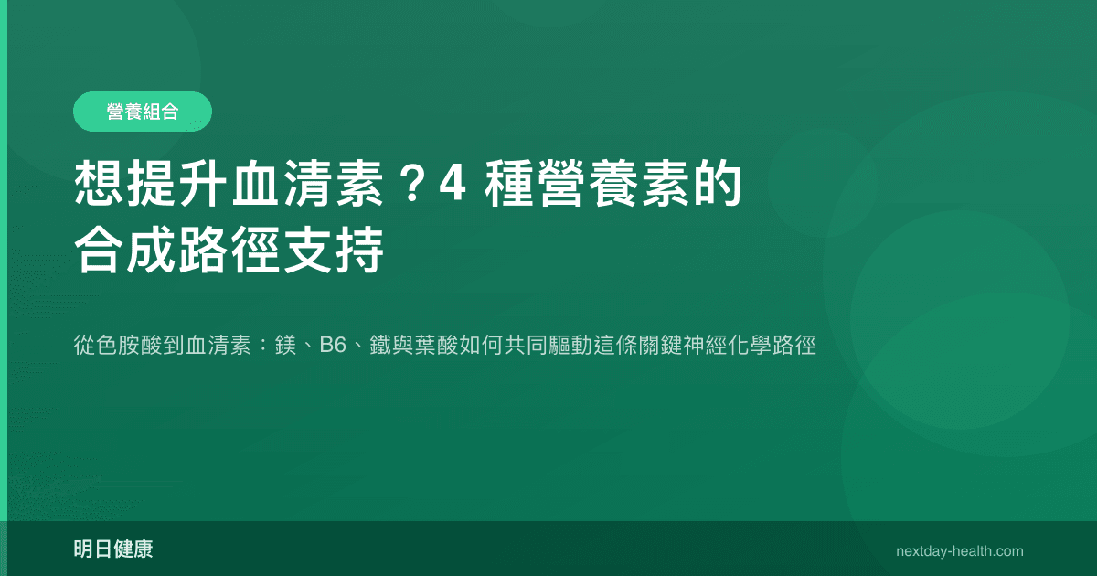 想提升血清素？4 種營養素的合成路徑支持