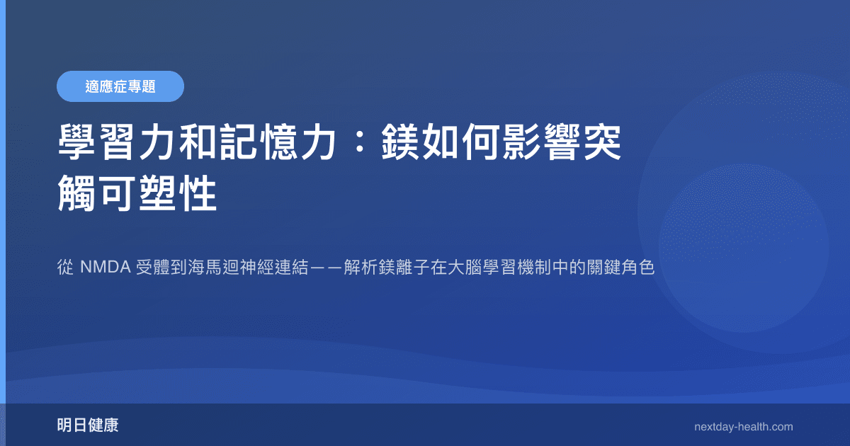 學習力和記憶力：鎂如何影響突觸可塑性