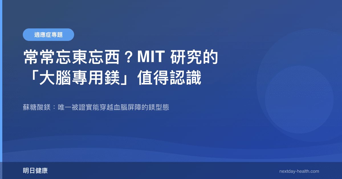 常常忘東忘西？MIT 研究的「大腦專用鎂」值得認識