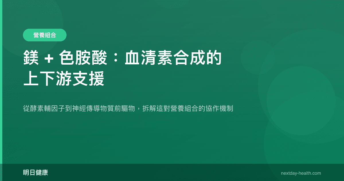鎂 + 色胺酸：血清素合成的上下游支援