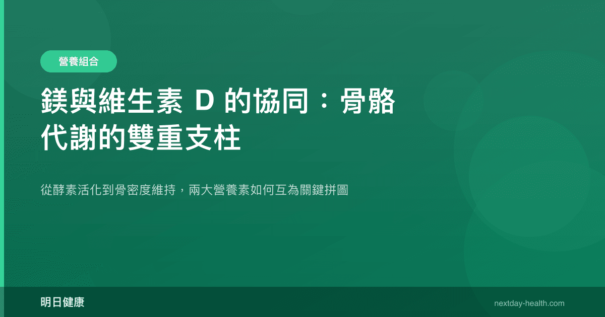 鎂與維生素 D 的協同：骨骼代謝的雙重支柱