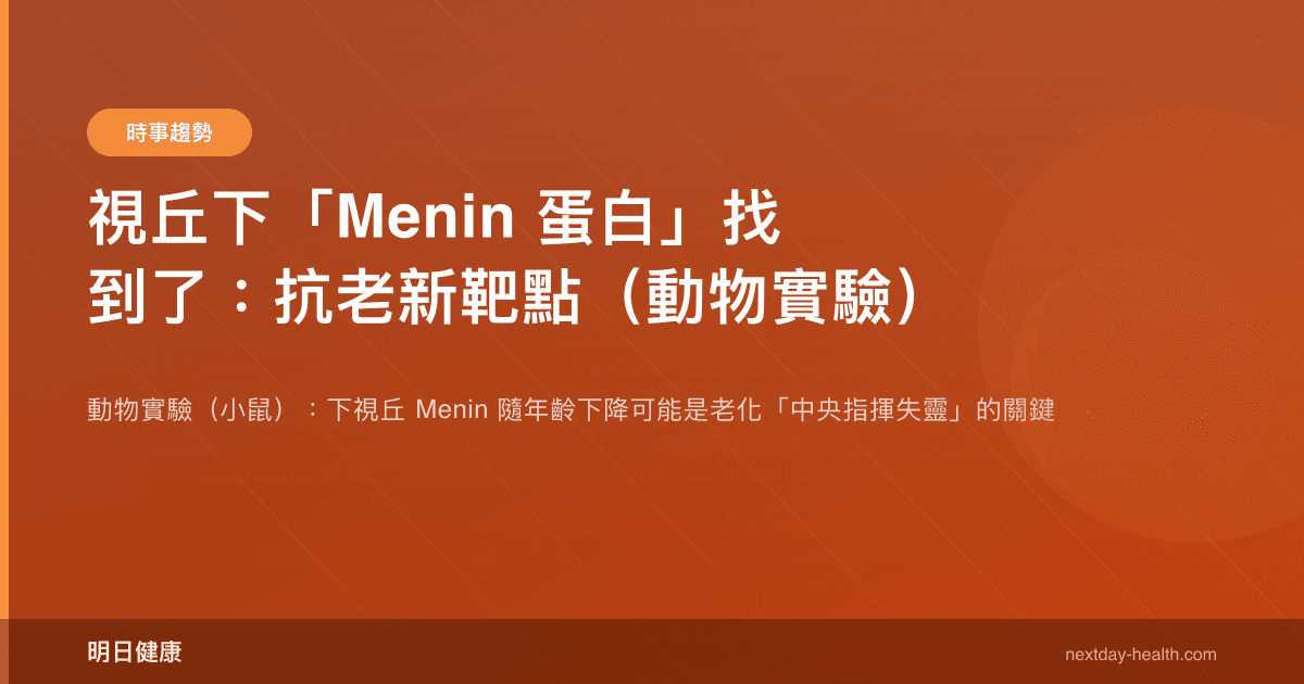 視丘下「Menin 蛋白」找到了：抗老新靶點（動物實驗）