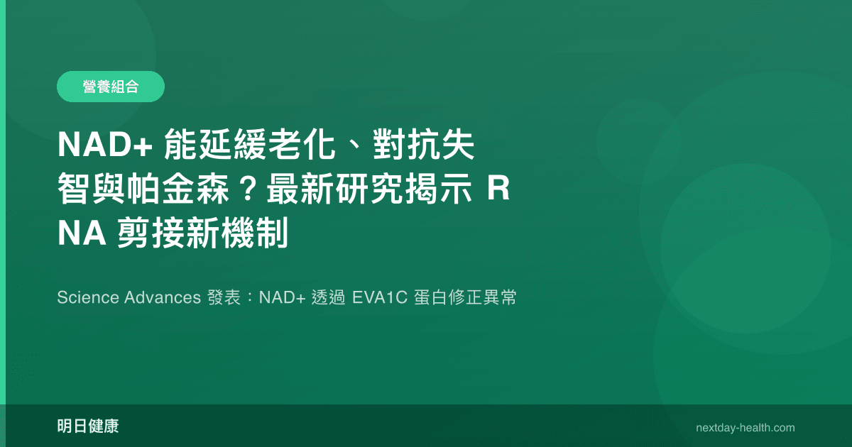 NAD+ 能延緩老化、對抗失智與帕金森？最新研究揭示 RNA 剪接新機制