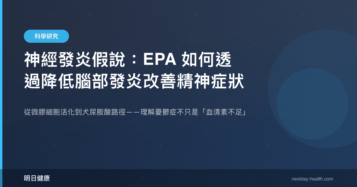 神經發炎假說：EPA 如何透過降低腦部發炎改善精神症狀
