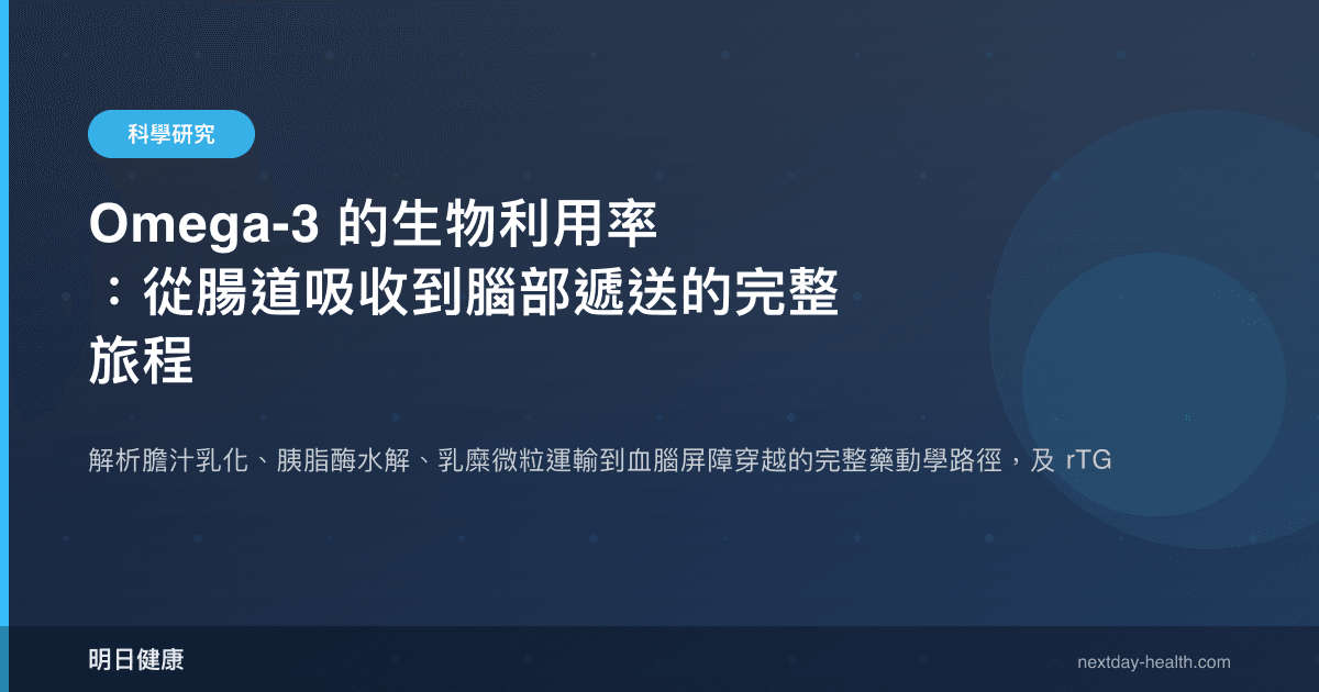 Omega-3 的生物利用率：從腸道吸收到腦部遞送的完整旅程