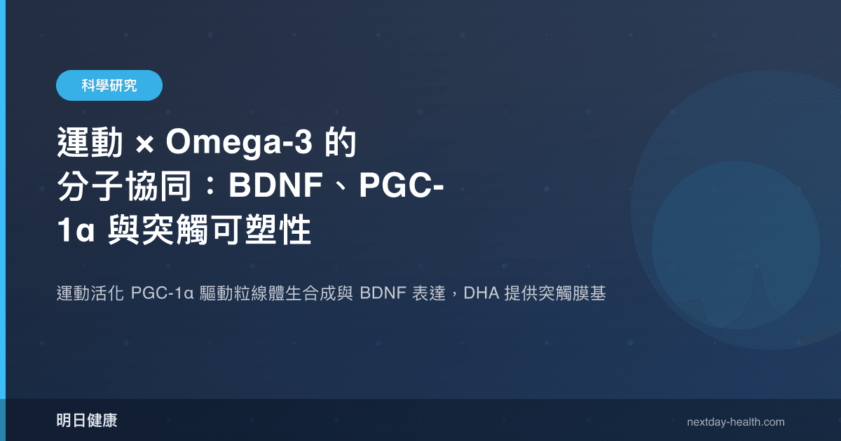 運動 × Omega-3 的分子協同：BDNF、PGC-1α 與突觸可塑性