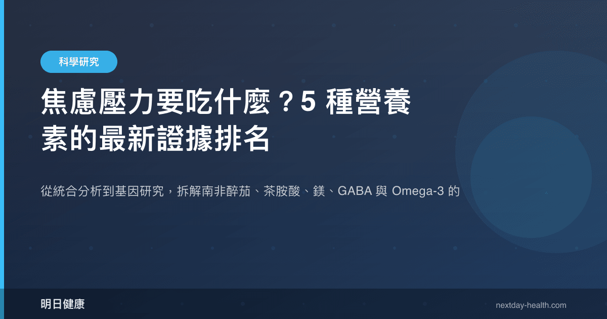 焦慮壓力要吃什麼？5 種營養素的最新證據排名