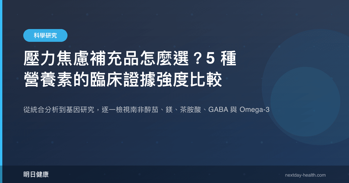 壓力焦慮補充品怎麼選？5 種營養素的臨床證據強度比較
