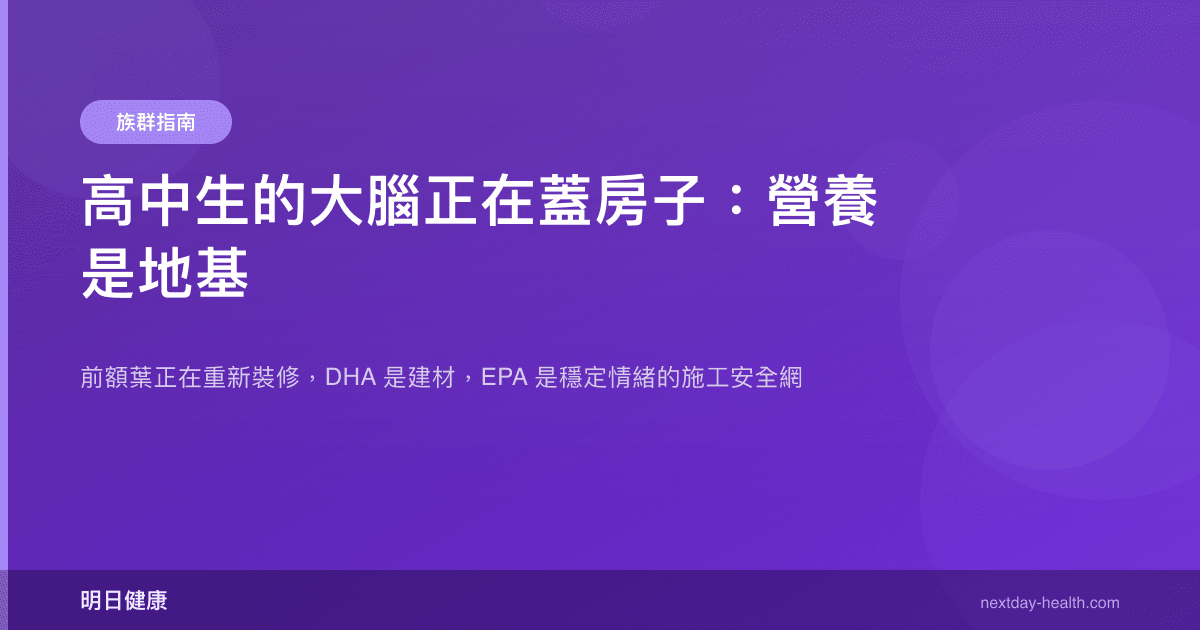 高中生的大腦正在蓋房子：營養是地基