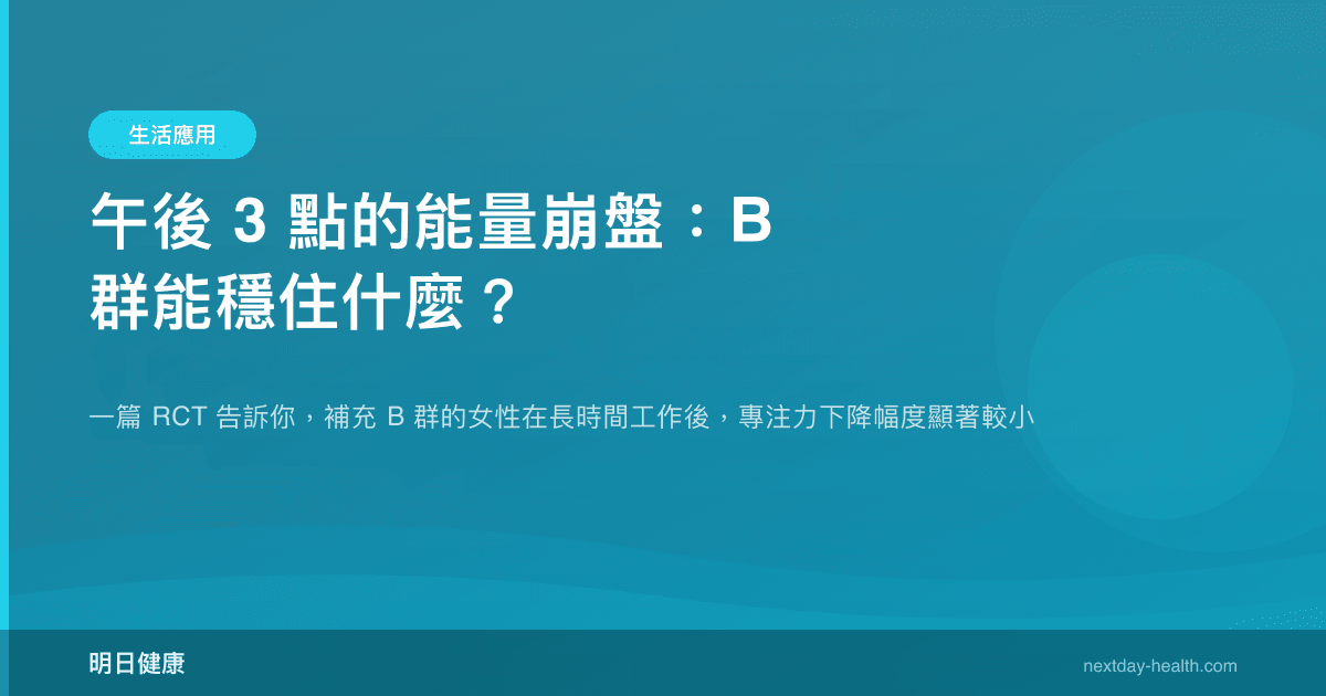 午後 3 點的能量崩盤：B 群能穩住什麼？