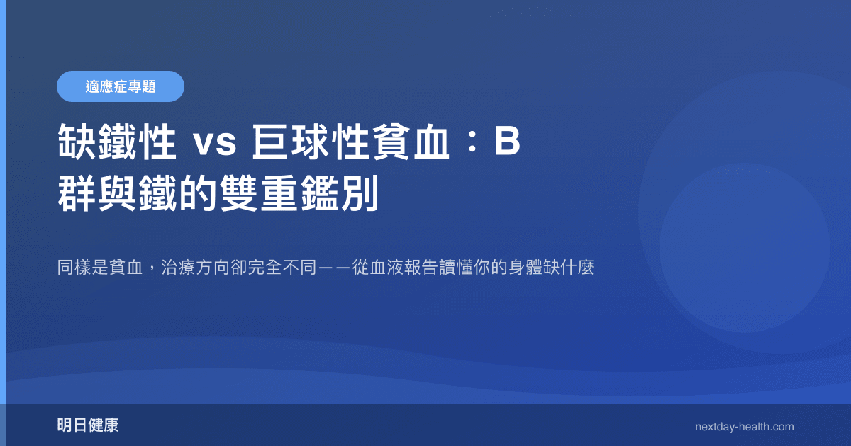 缺鐵性 vs 巨球性貧血：B 群與鐵的雙重鑑別