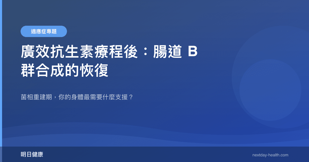 廣效抗生素療程後：腸道 B 群合成的恢復