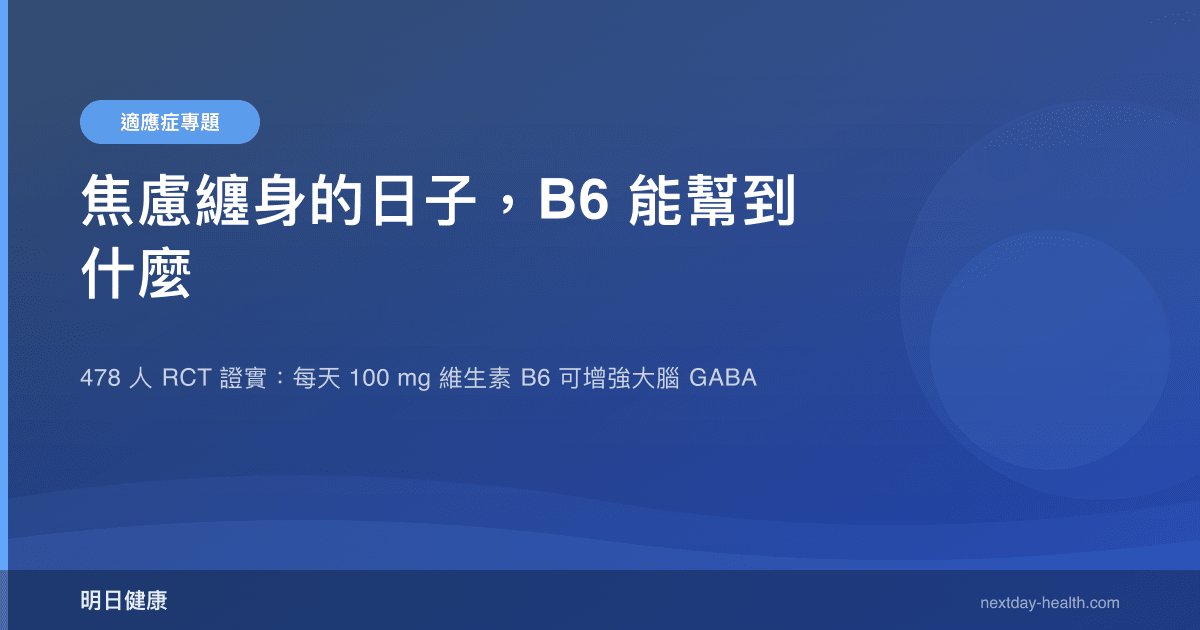 焦慮纏身的日子，B6 能幫到什麼