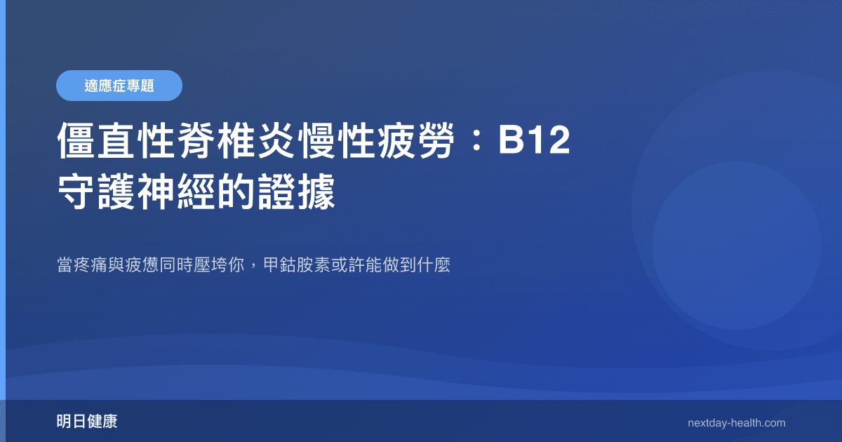 僵直性脊椎炎慢性疲勞：B12 守護神經的證據