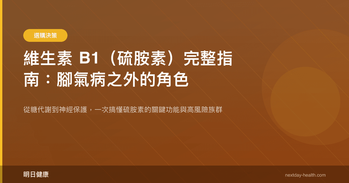 維生素 B1（硫胺素）完整指南：腳氣病之外的角色
