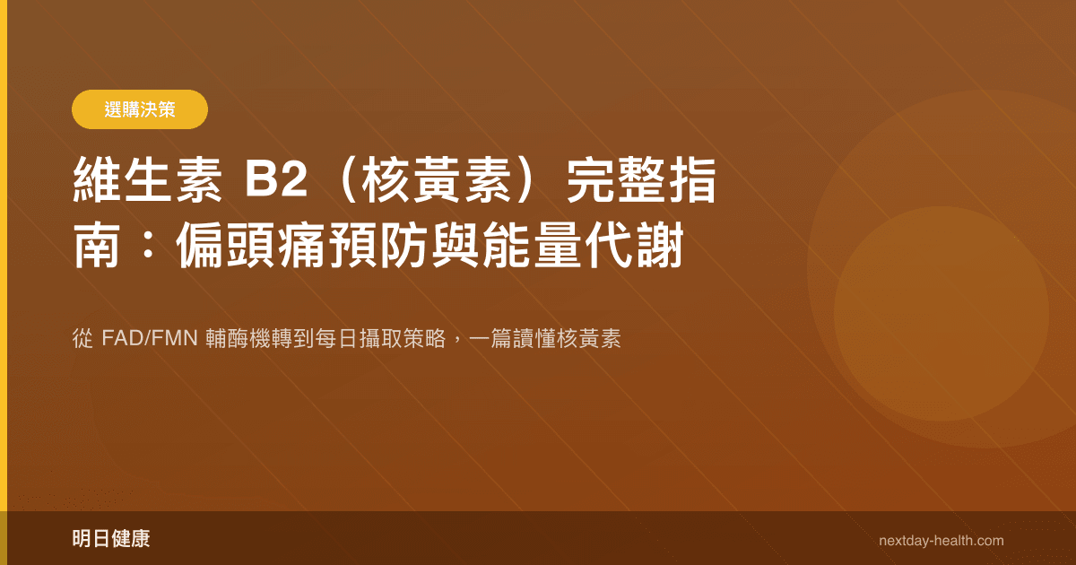 維生素 B2（核黃素）完整指南：偏頭痛預防與能量代謝