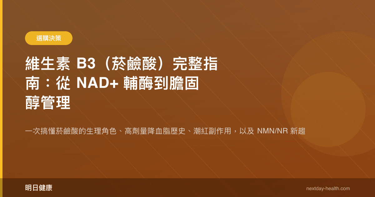 維生素 B3（菸鹼酸）完整指南：從 NAD+ 輔酶到膽固醇管理