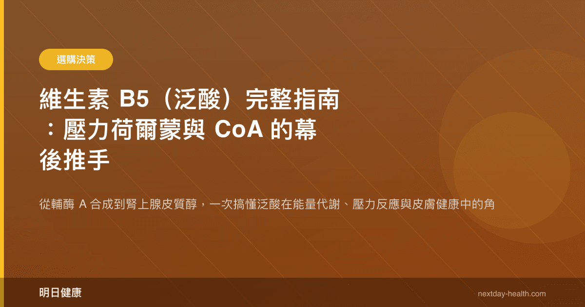 維生素 B5（泛酸）完整指南：壓力荷爾蒙與 CoA 的幕後推手