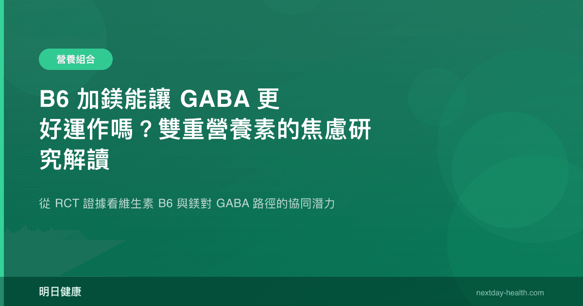 B6 加鎂能讓 GABA 更好運作嗎？雙重營養素的焦慮研究解讀