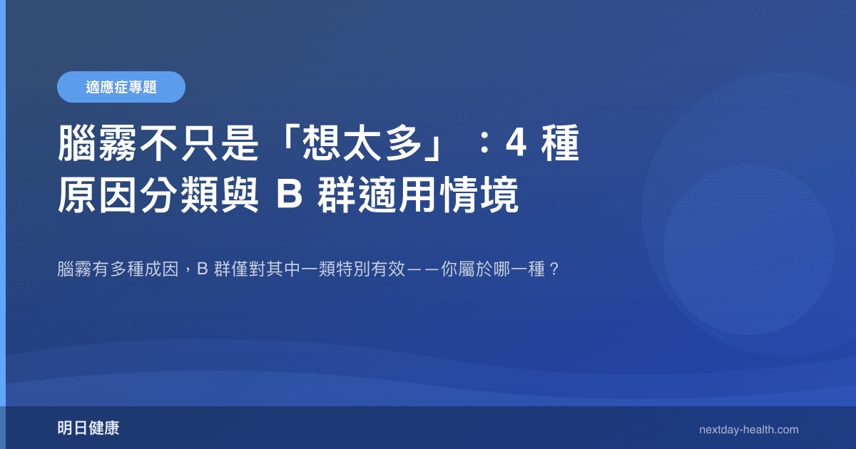 腦霧不只是「想太多」：4 種原因分類與 B 群適用情境