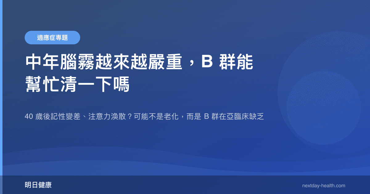 中年腦霧越來越嚴重，B 群能幫忙清一下嗎