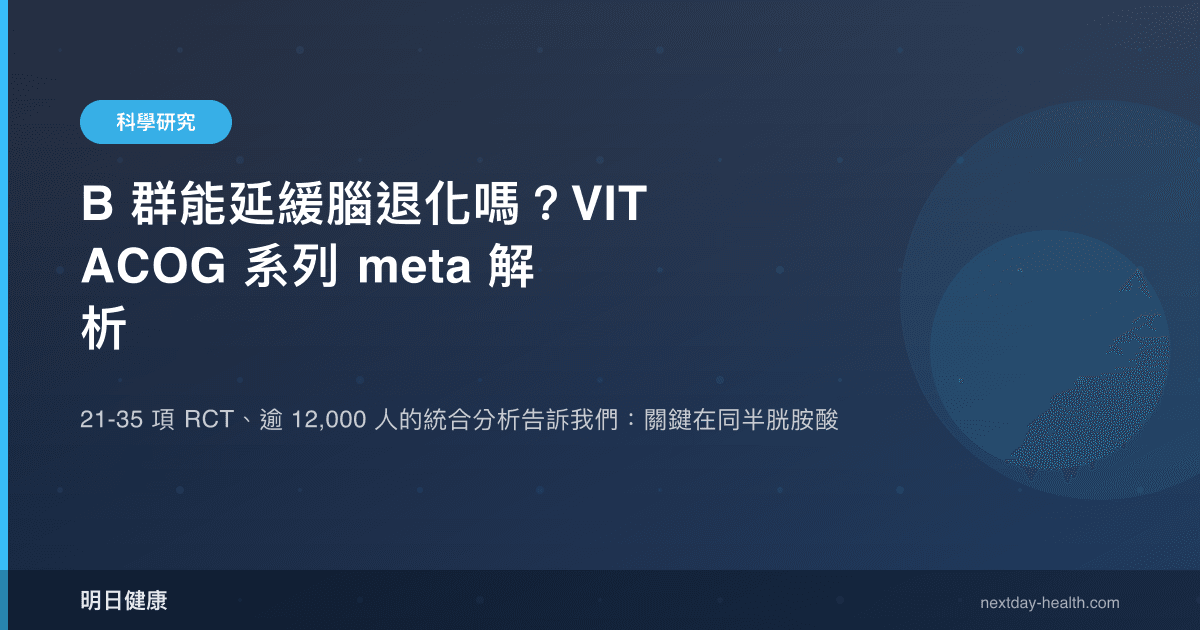 B 群能延緩腦退化嗎？VITACOG 系列 meta 解析