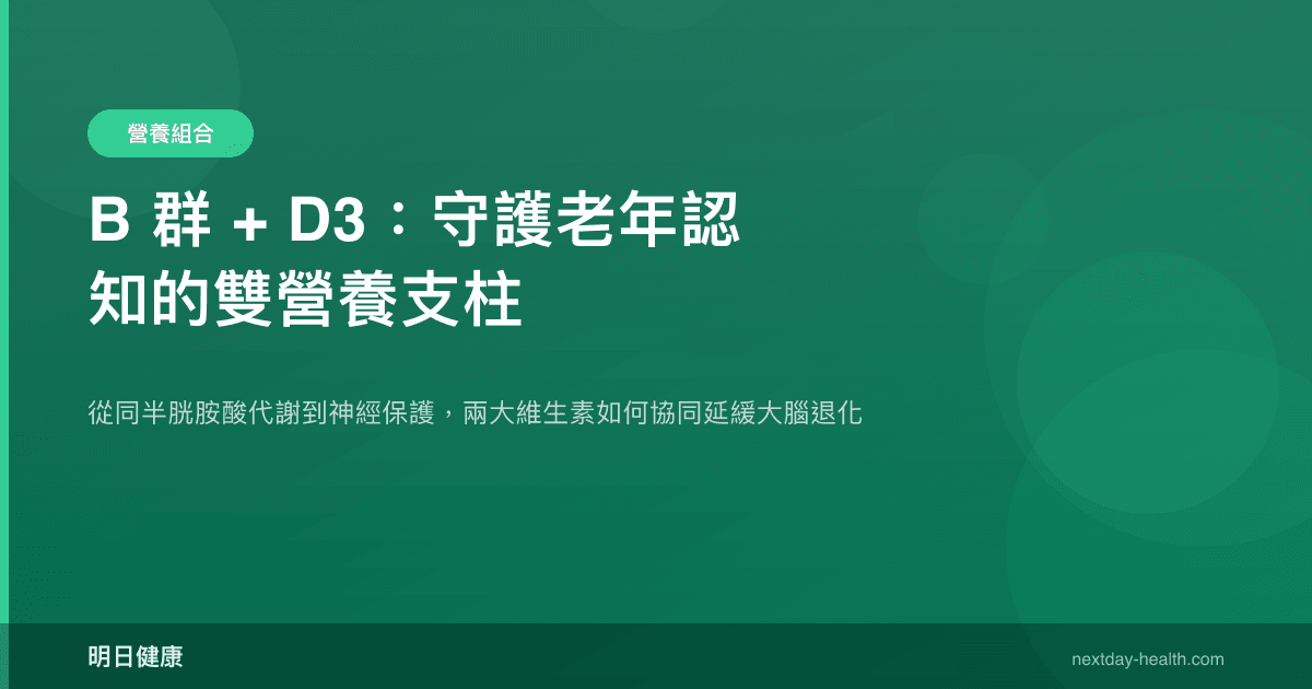 B 群 + D3：守護老年認知的雙營養支柱