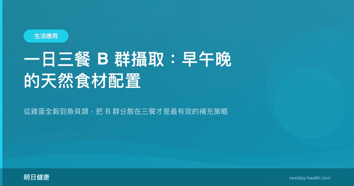 一日三餐 B 群攝取：早午晚的天然食材配置