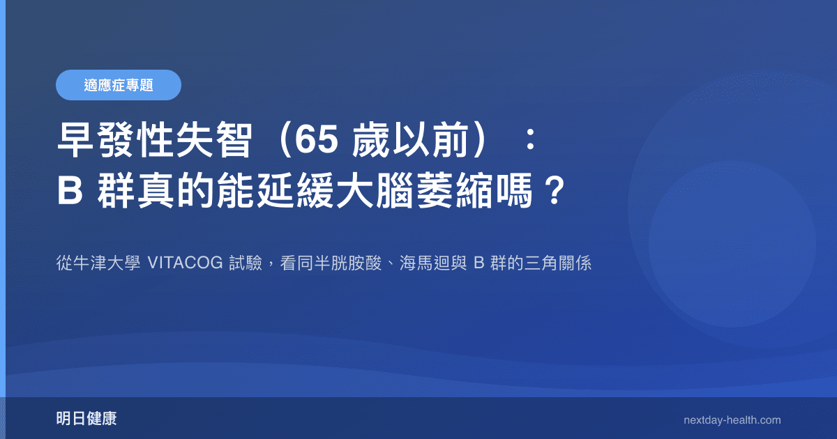早發性失智（65 歲以前）：B 群真的能延緩大腦萎縮嗎？