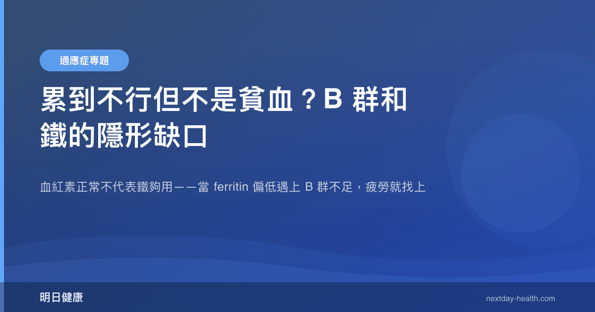 累到不行但不是貧血？B 群和鐵的隱形缺口