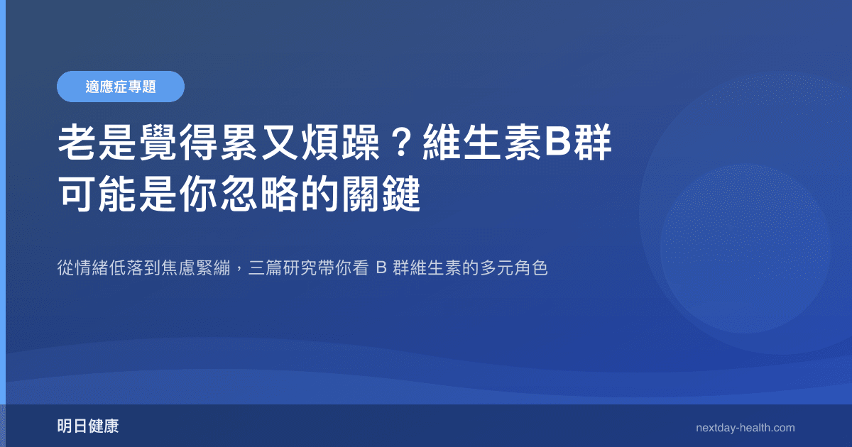 老是覺得累又煩躁？維生素B群可能是你忽略的關鍵