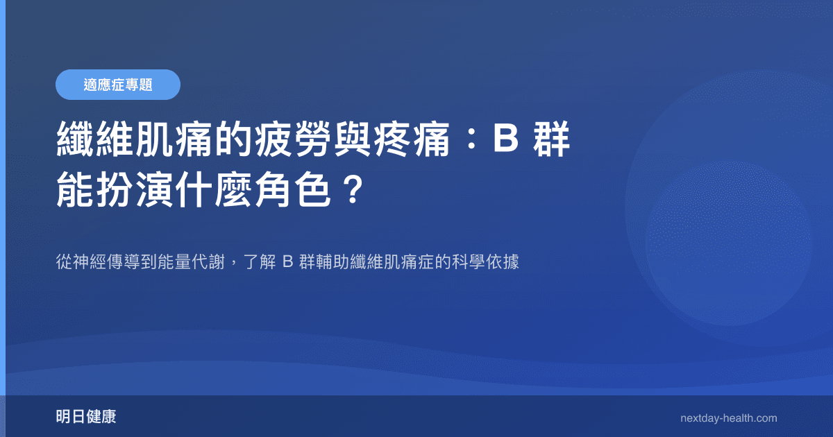 纖維肌痛的疲勞與疼痛：B 群能扮演什麼角色？