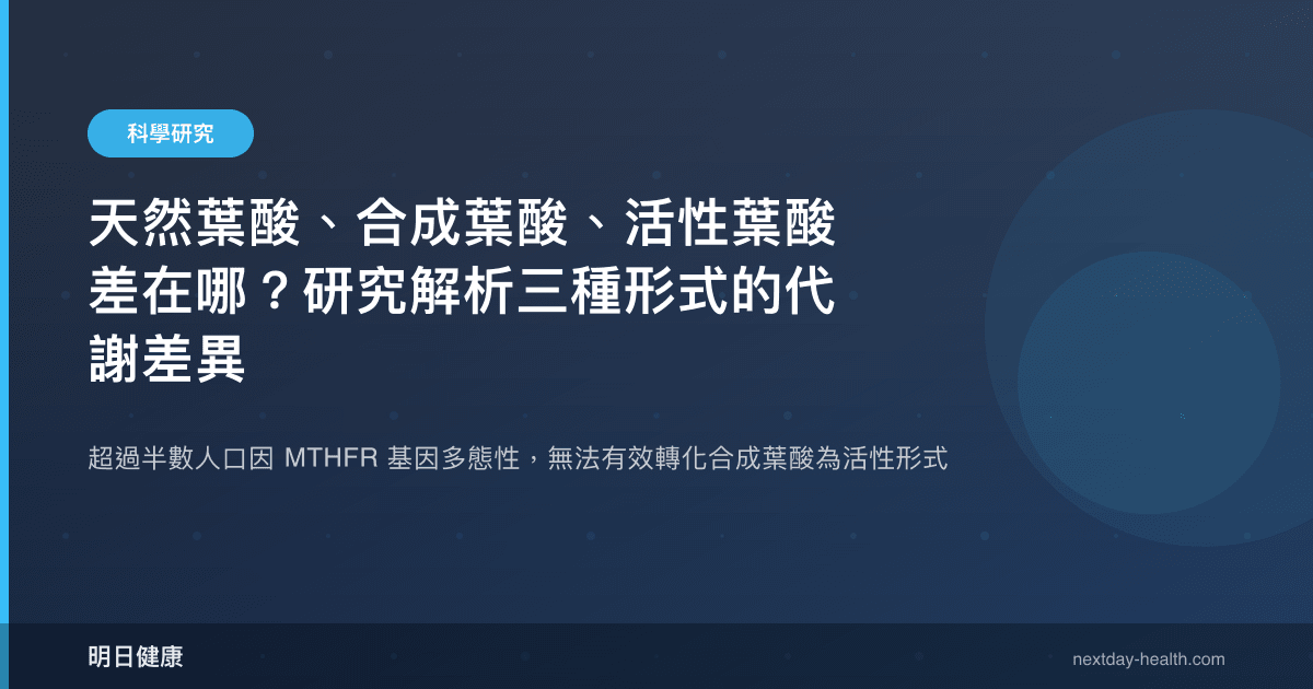 天然葉酸、合成葉酸、活性葉酸差在哪？研究解析三種形式的代謝差異