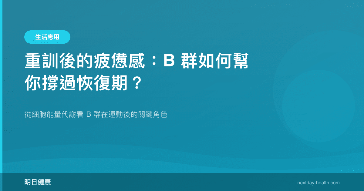 重訓後的疲憊感：B 群如何幫你撐過恢復期？