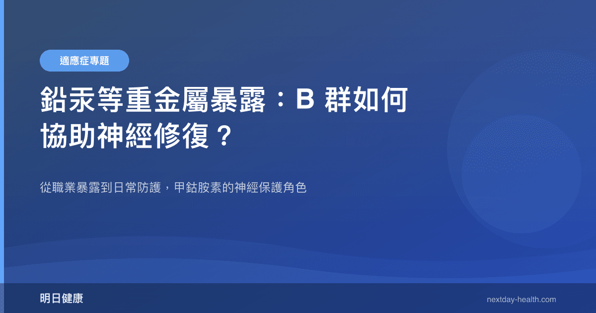 鉛汞等重金屬暴露：B 群如何協助神經修復？