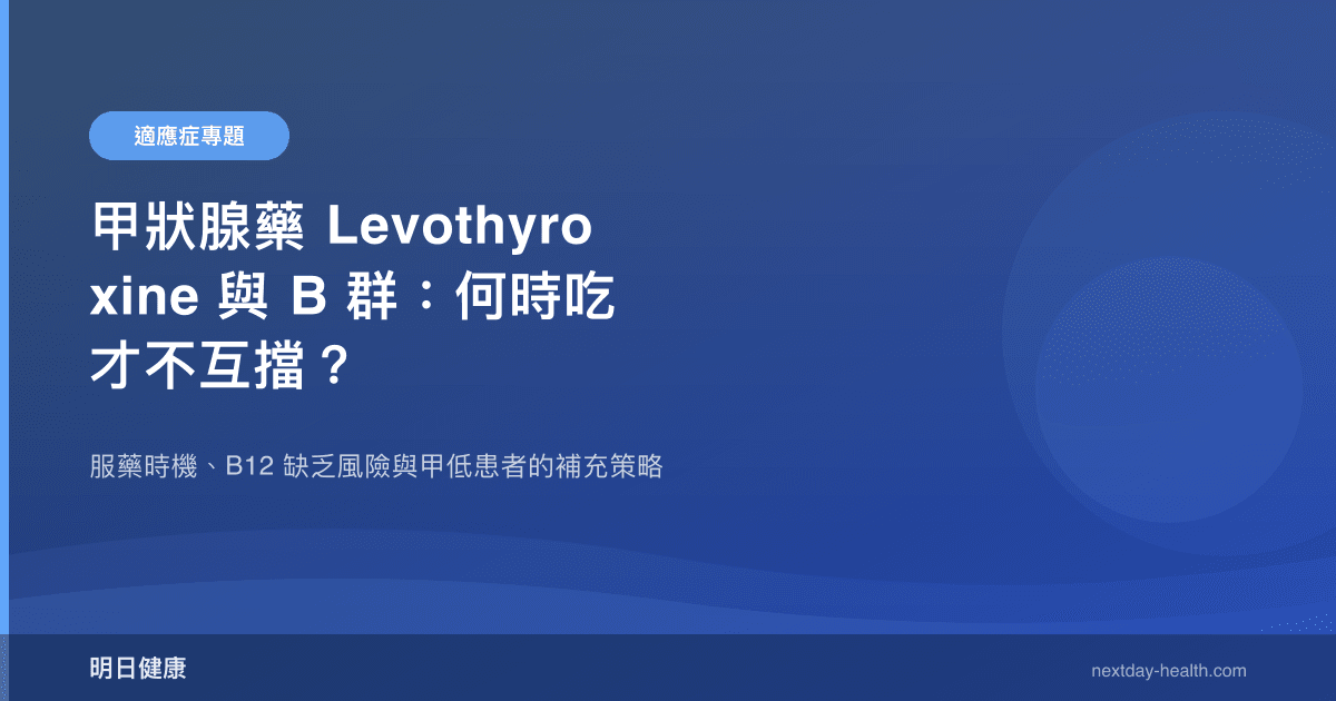 甲狀腺藥 Levothyroxine 與 B 群：何時吃才不互擋？