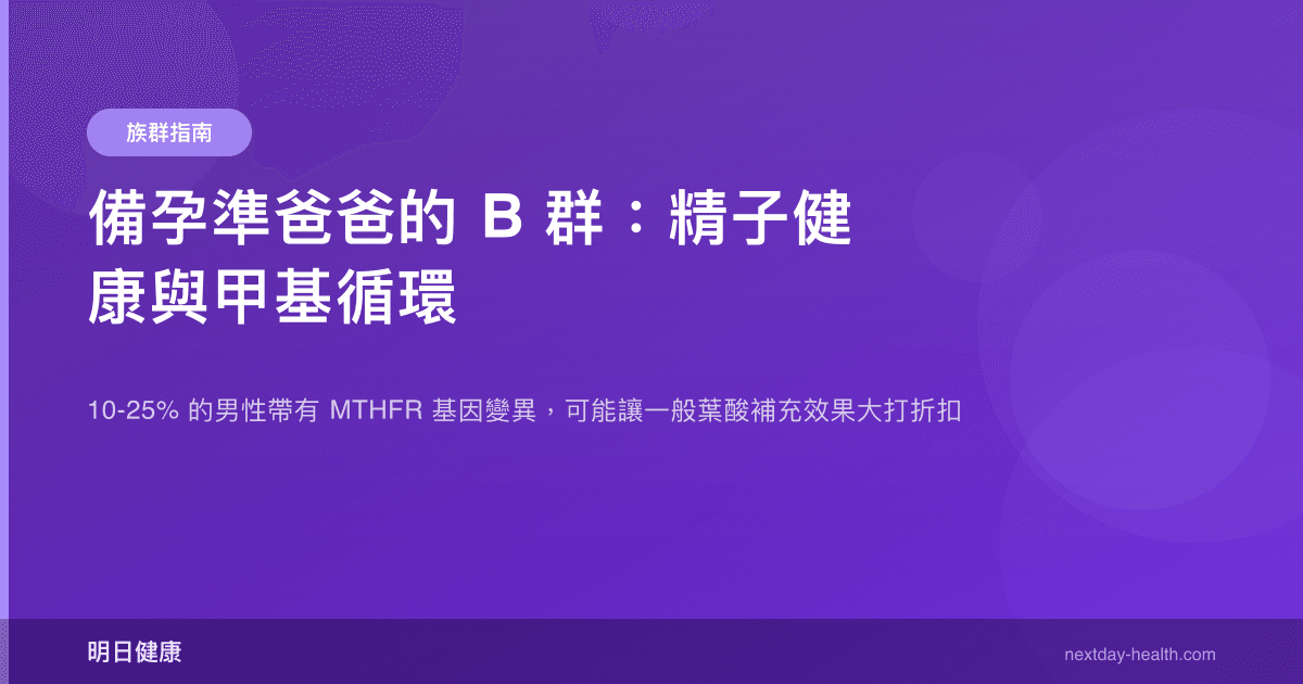 備孕準爸爸的 B 群：精子健康與甲基循環