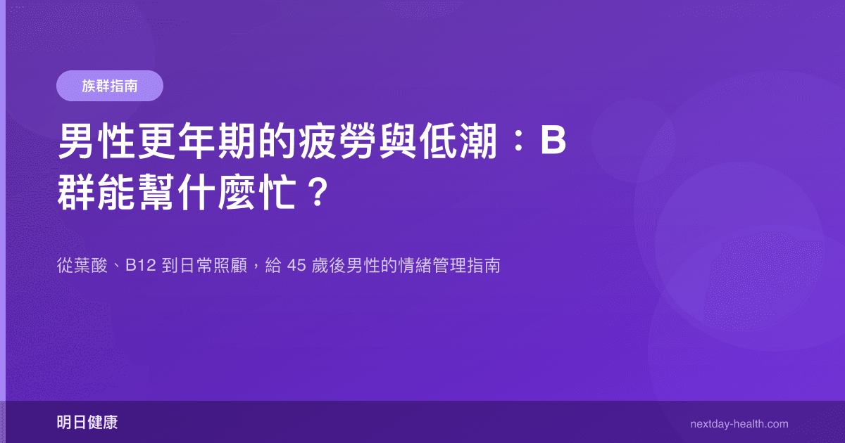 男性更年期的疲勞與低潮：B 群能幫什麼忙？