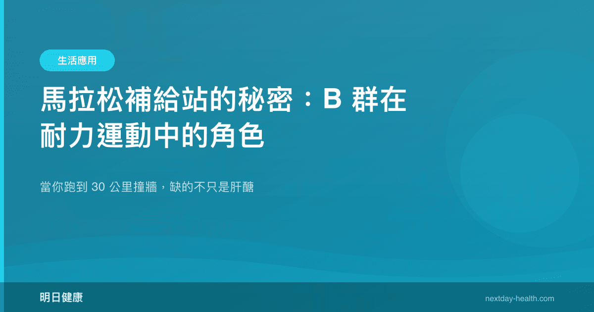 馬拉松補給站的秘密：B 群在耐力運動中的角色