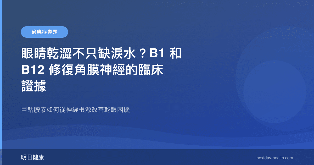 眼睛乾澀不只缺淚水？B1 和 B12 修復角膜神經的臨床證據