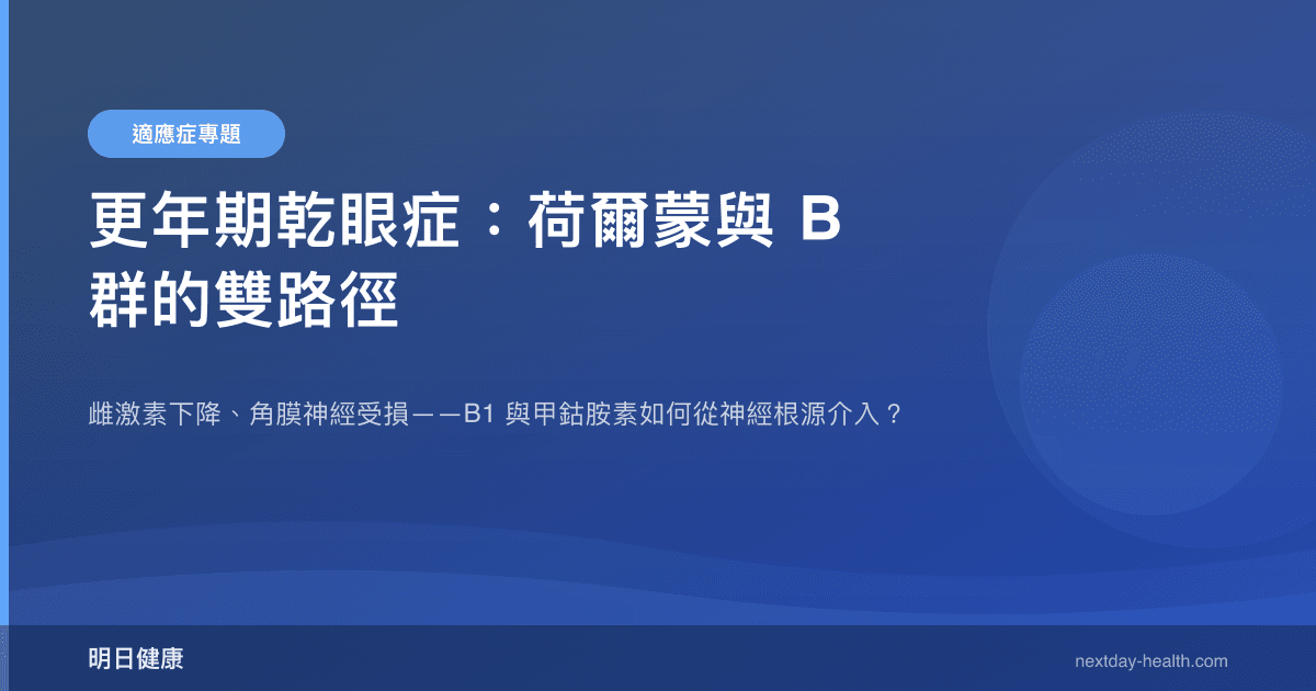 更年期乾眼症：荷爾蒙與 B 群的雙路徑
