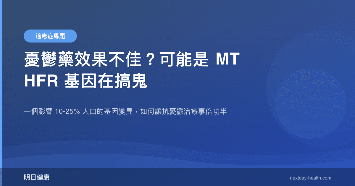 憂鬱藥效果不佳？可能是 MTHFR 基因在搞鬼