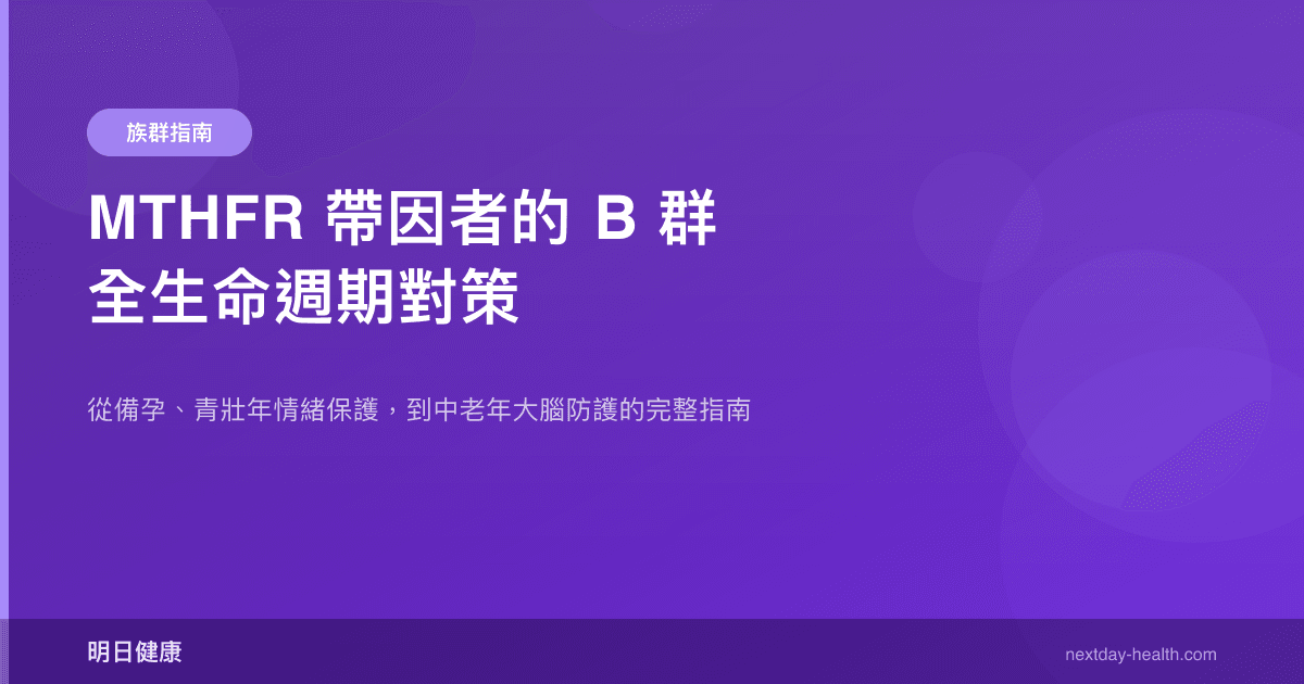 MTHFR 帶因者的 B 群全生命週期對策
