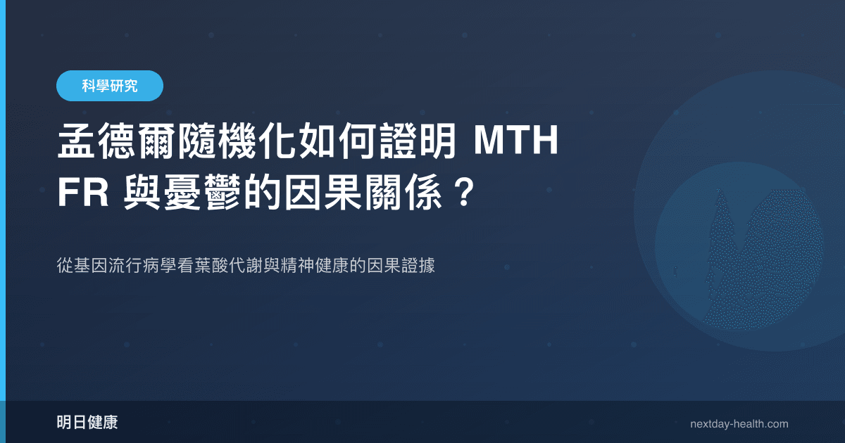 孟德爾隨機化如何證明 MTHFR 與憂鬱的因果關係？