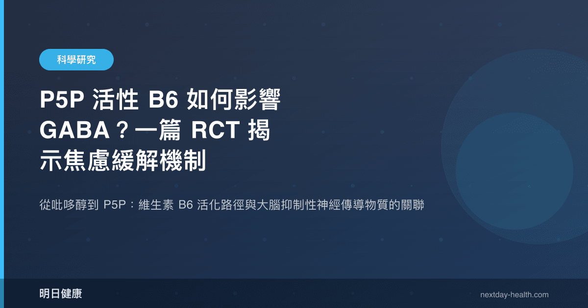 P5P 活性 B6 如何影響 GABA？一篇 RCT 揭示焦慮緩解機制