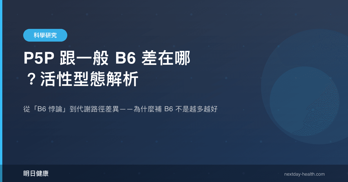 P5P 跟一般 B6 差在哪？活性型態解析