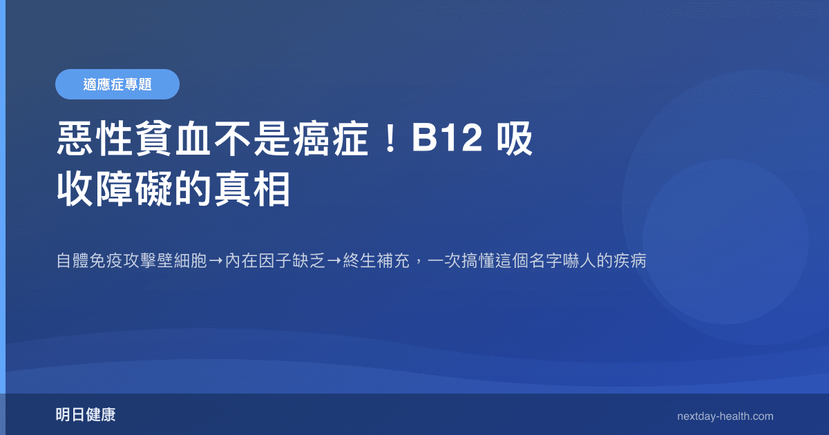 惡性貧血不是癌症！B12 吸收障礙的真相