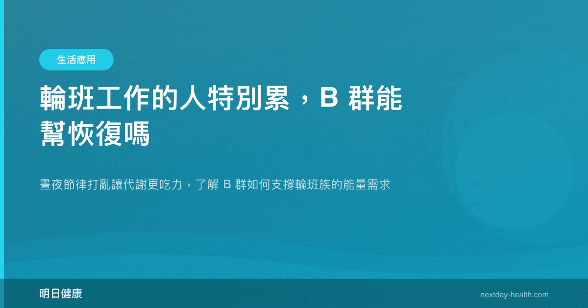 輪班工作的人特別累，B 群能幫恢復嗎